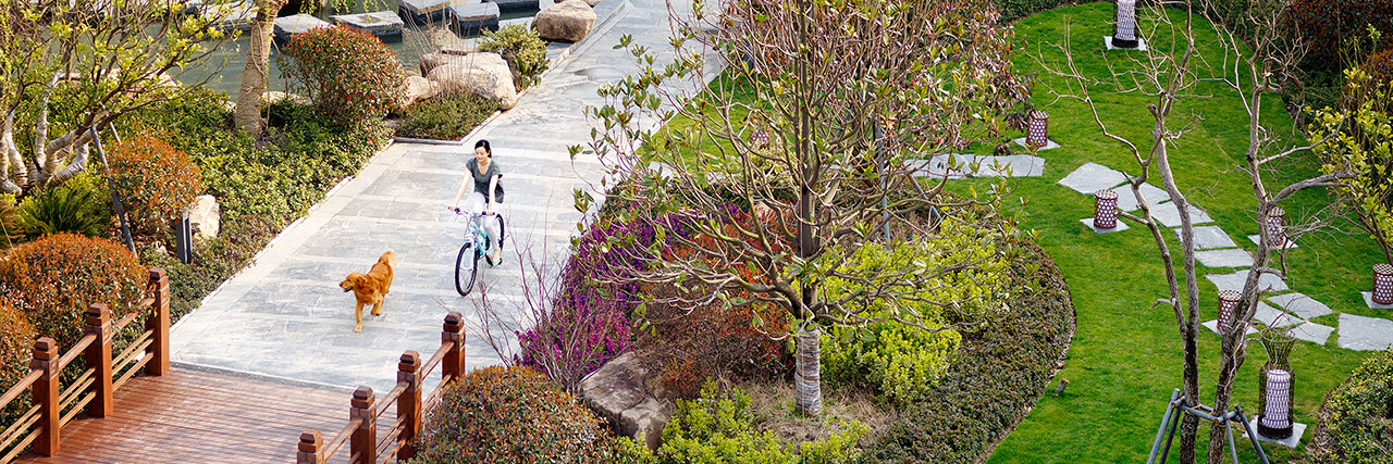 Couple Walking Bikes